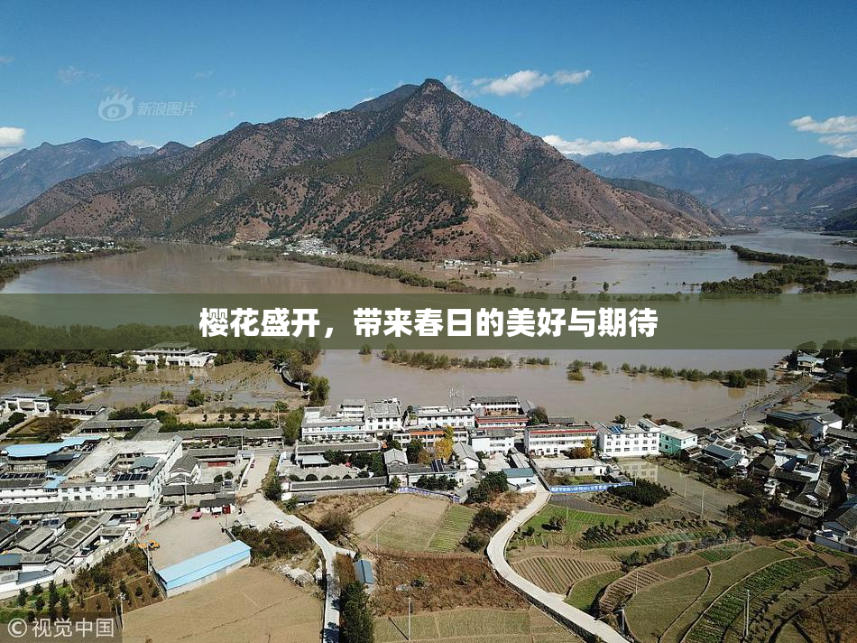 樱花盛开，带来春日的美好与期待
