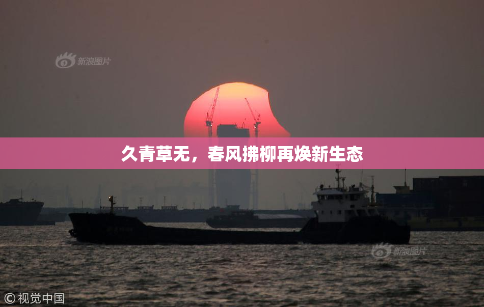 久青草无，春风拂柳再焕新生态
