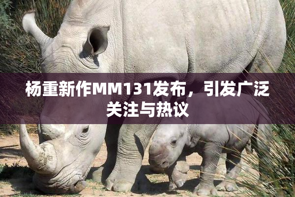 杨重新作MM131发布，引发广泛关注与热议
