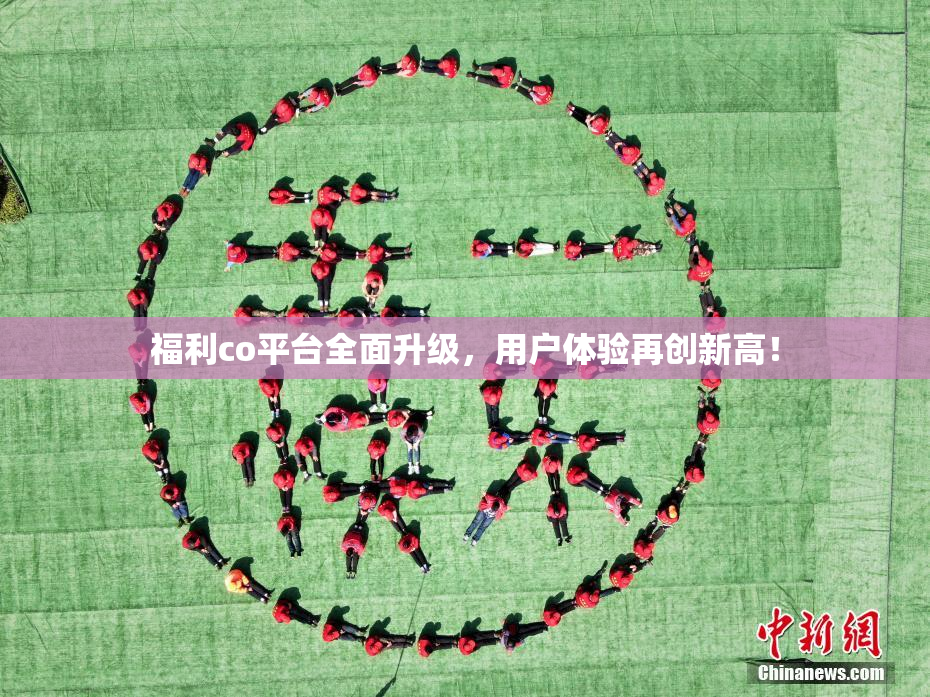福利co平台全面升级，用户体验再创新高！
