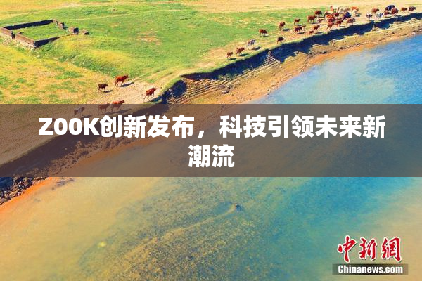 Z00K创新发布，科技引领未来新潮流