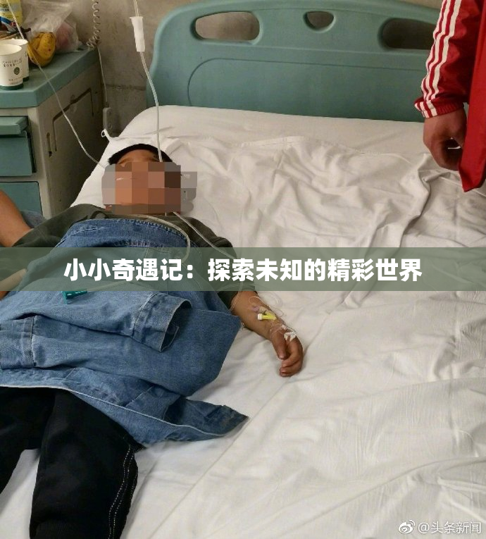 小小奇遇记：探索未知的精彩世界