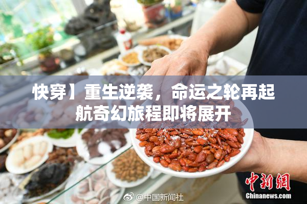 快穿】重生逆袭，命运之轮再起航奇幻旅程即将展开