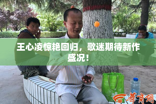 王心凌惊艳回归，歌迷期待新作盛况！