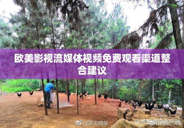 欧美影视流媒体视频免费观看渠道整合建议