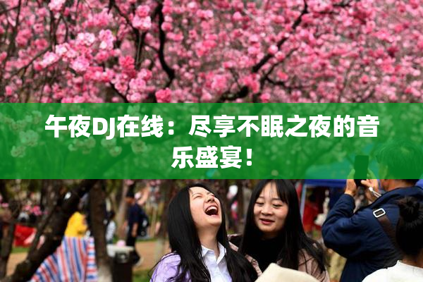 午夜DJ在线：尽享不眠之夜的音乐盛宴！