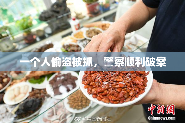 一个人偷盗被抓，警察顺利破案