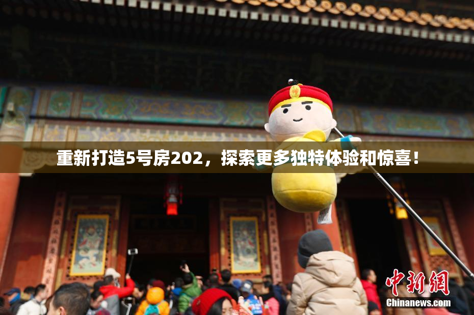 重新打造5号房202，探索更多独特体验和惊喜！