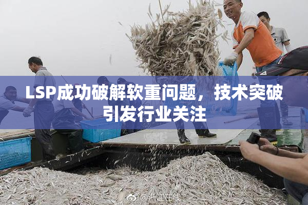 LSP成功破解软重问题，技术突破引发行业关注