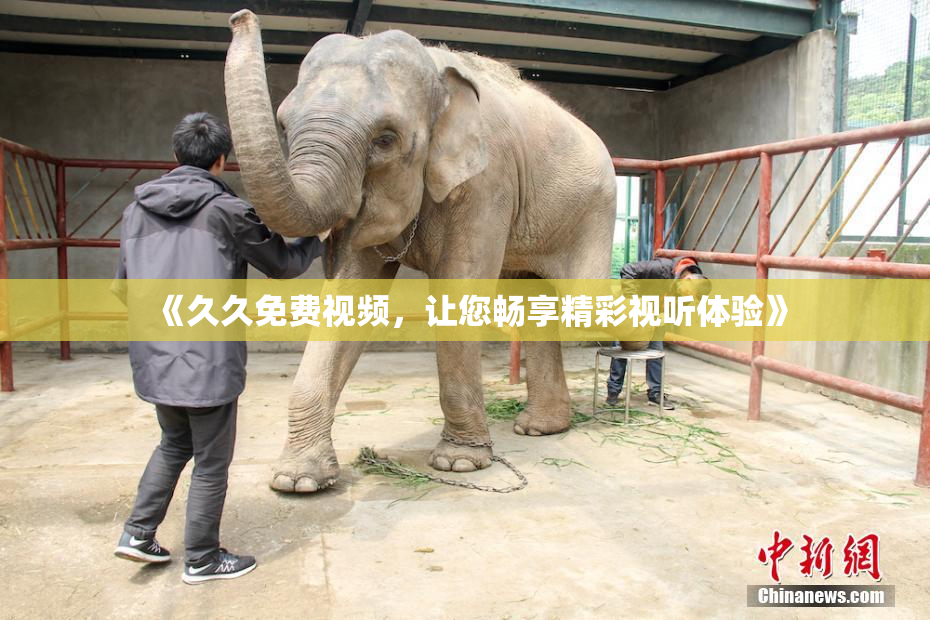 《久久免费视频，让您畅享精彩视听体验》