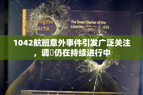 1042航班意外事件引发广泛关注，调査仍在持续进行中