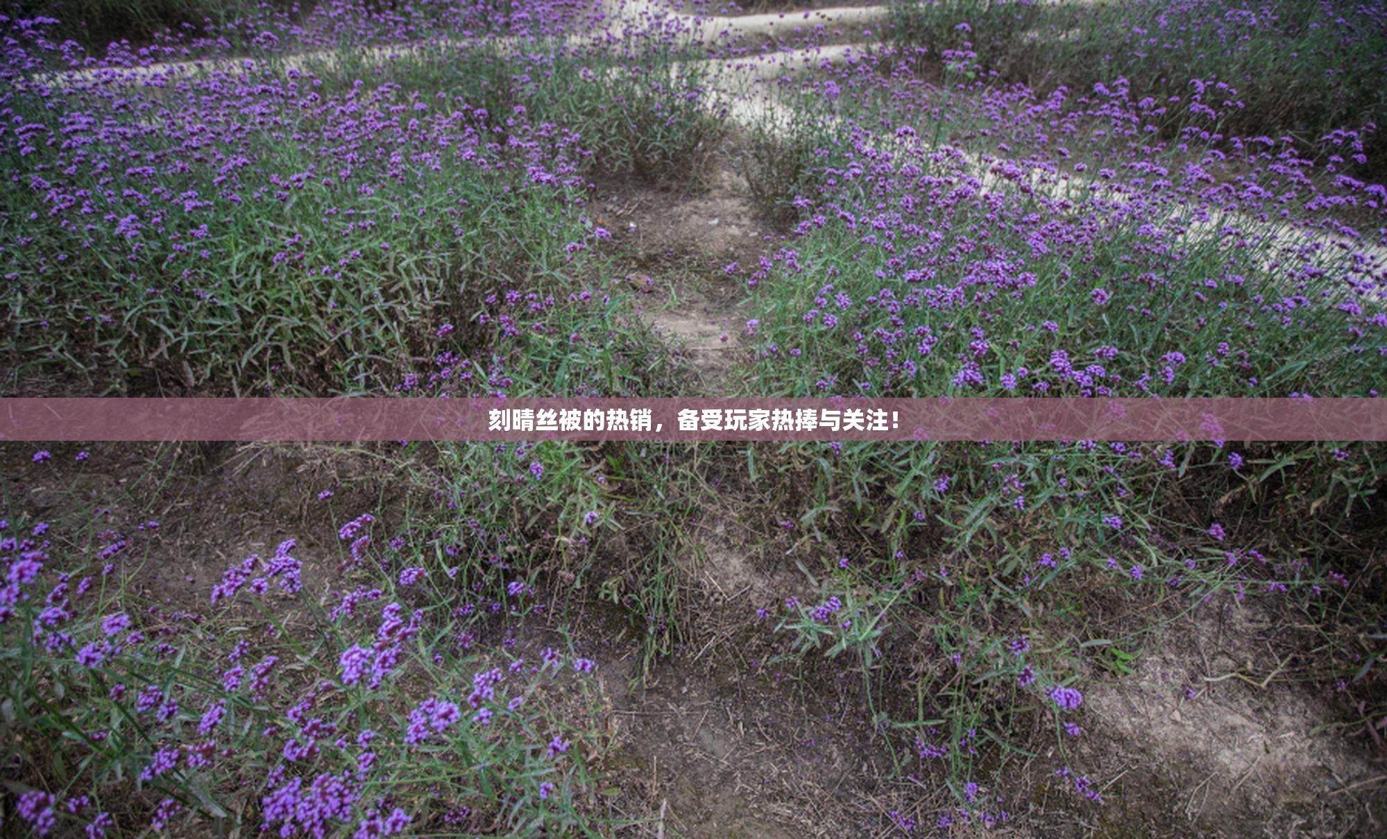 刻晴丝被的热销，备受玩家热捧与关注！