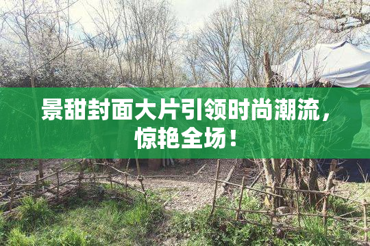 景甜封面大片引领时尚潮流，惊艳全场！