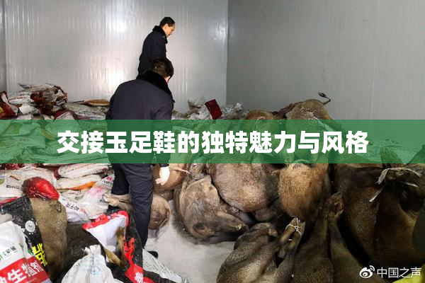 交接玉足鞋的独特魅力与风格