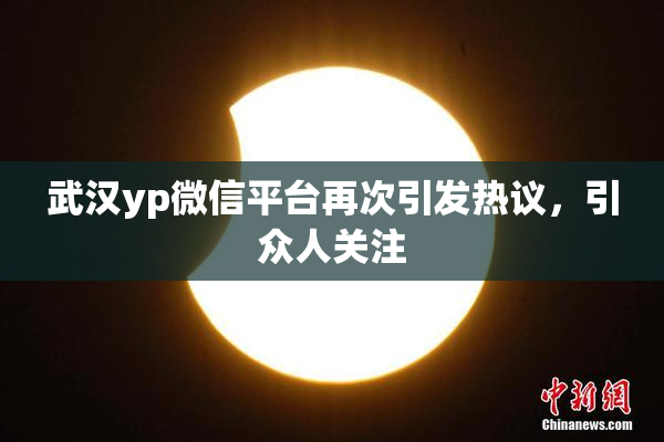 武汉yp微信平台再次引发热议，引众人关注