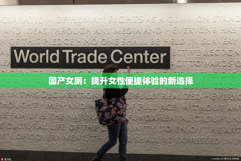 国产女厕：提升女性便捷体验的新选择