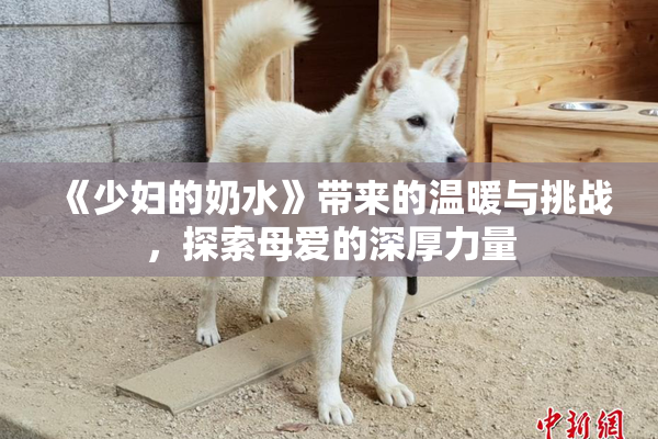 《少妇的奶水》带来的温暖与挑战，探索母爱的深厚力量
