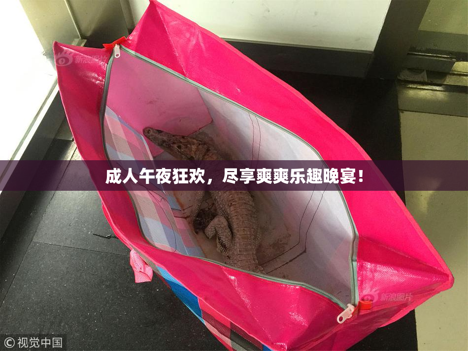 成人午夜狂欢，尽享爽爽乐趣晚宴！