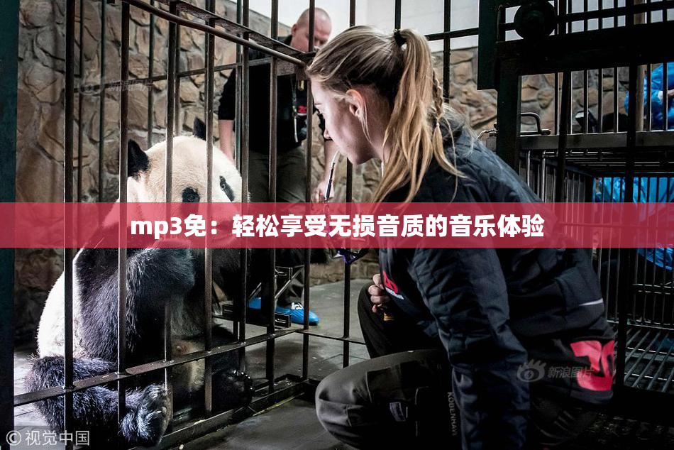 mp3免：轻松享受无损音质的音乐体验