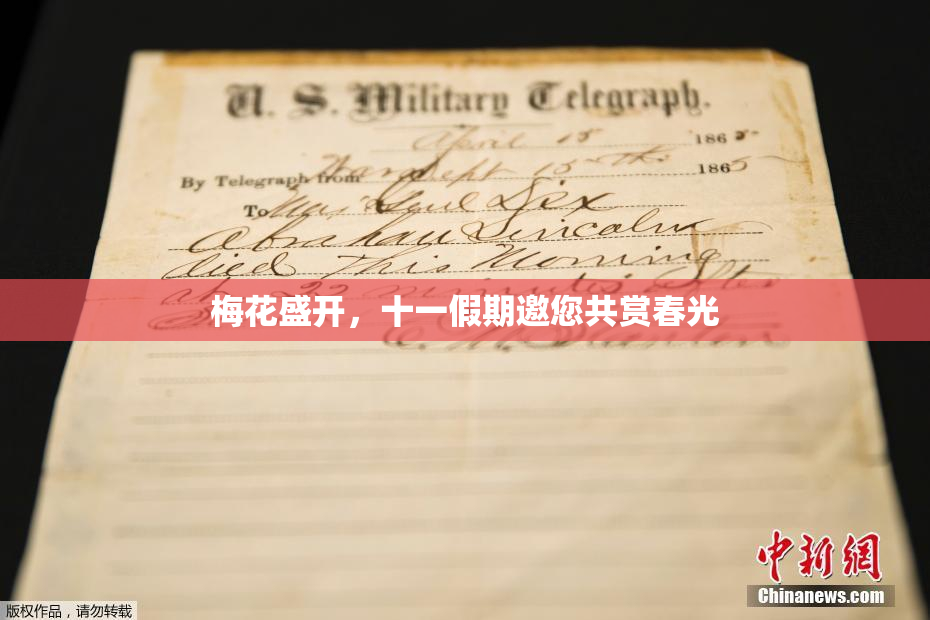 梅花盛开，十一假期邀您共赏春光