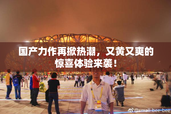 国产力作再掀热潮，又黄又爽的惊喜体验来袭！