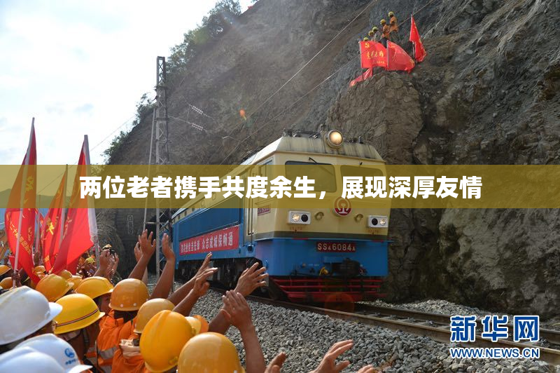 两位老者携手共度余生，展现深厚友情