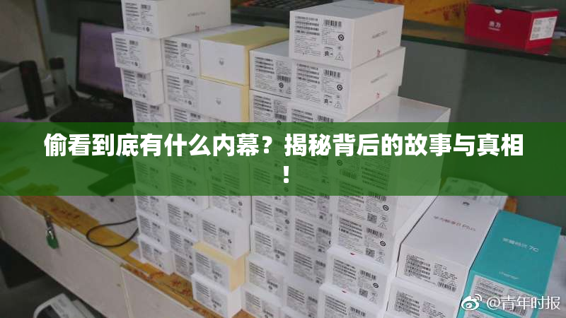 偷看到底有什么内幕？揭秘背后的故事与真相！