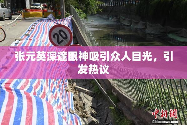 张元英深邃眼神吸引众人目光，引发热议