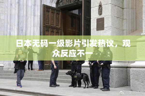 日本无码一级影片引发热议，观众反应不一