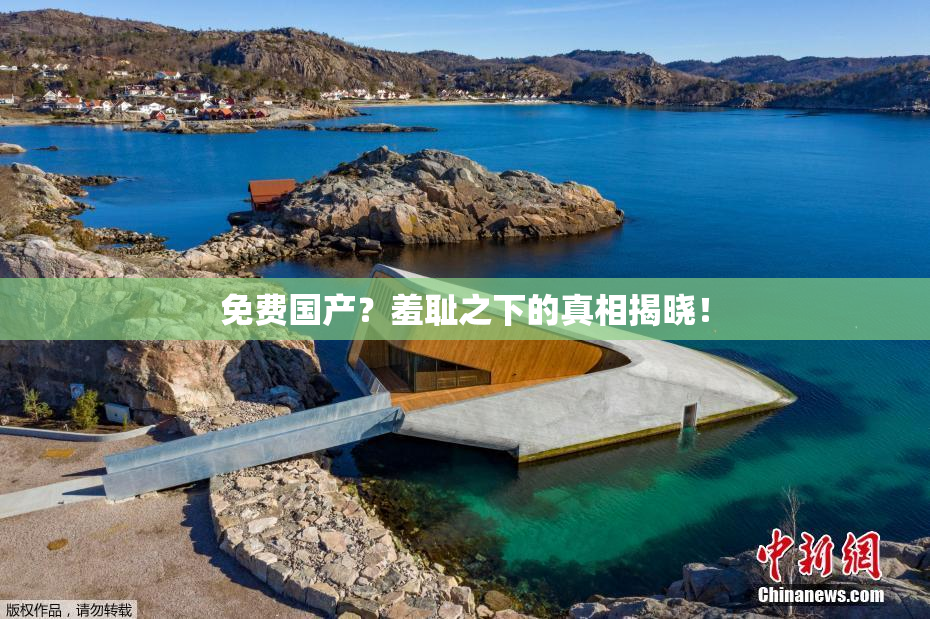免费国产？羞耻之下的真相揭晓！