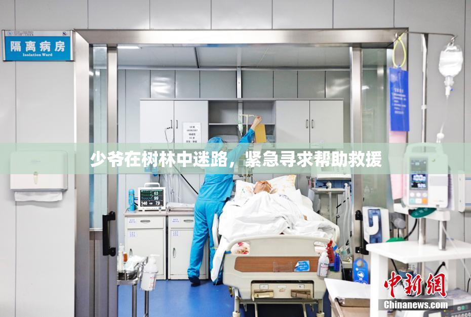 少爷在树林中迷路，紧急寻求帮助救援