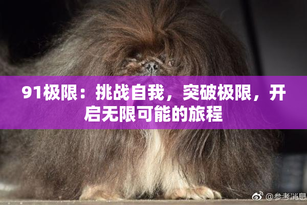 91极限：挑战自我，突破极限，开启无限可能的旅程