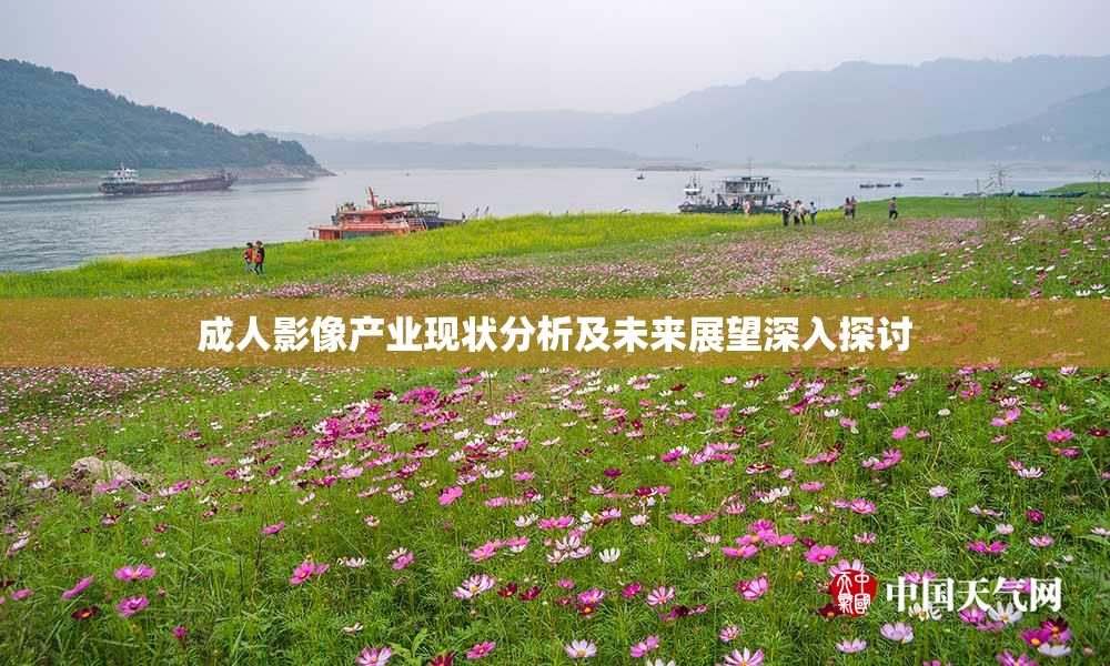 成人影像产业现状分析及未来展望深入探讨