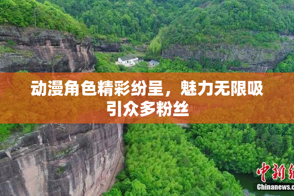 动漫角色精彩纷呈，魅力无限吸引众多粉丝
