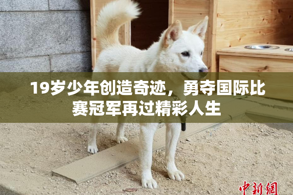 19岁少年创造奇迹，勇夺国际比赛冠军再过精彩人生