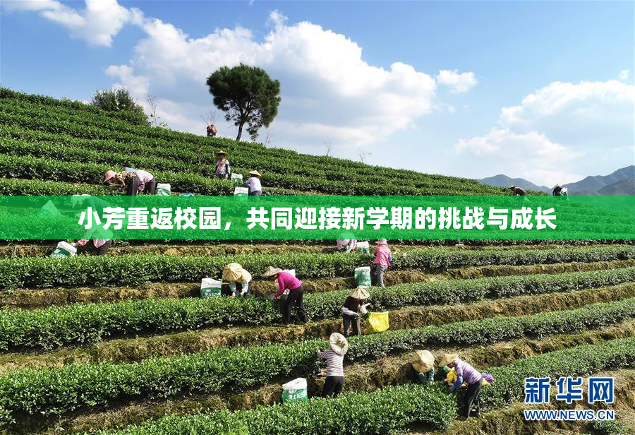 小芳重返校园，共同迎接新学期的挑战与成长