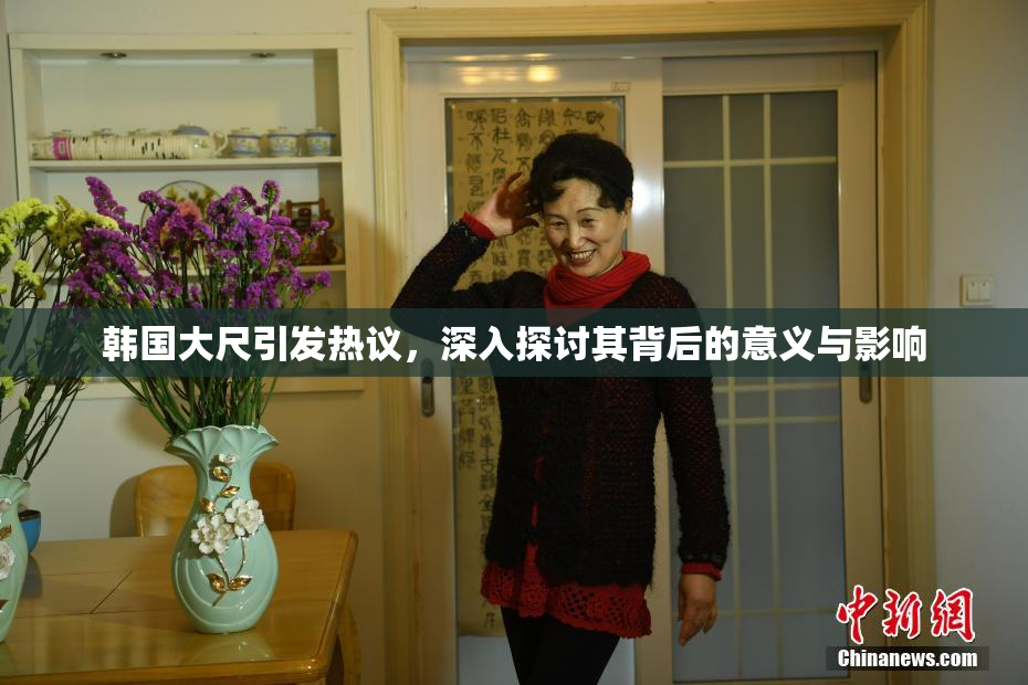 韩国大尺引发热议，深入探讨其背后的意义与影响