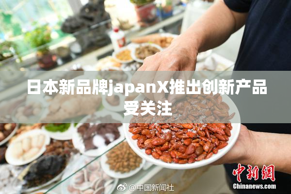 日本新品牌japanX推出创新产品 受关注