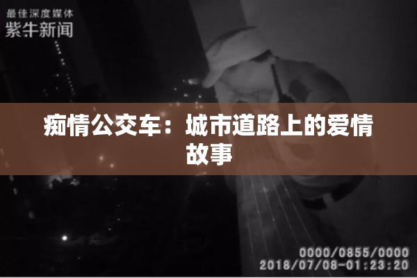 痴情公交车：城市道路上的爱情故事