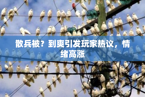 散兵被？到爽引发玩家热议，情绪高涨
