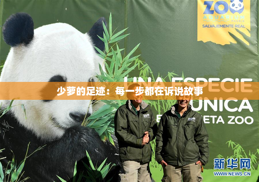 少萝的足迹：每一步都在诉说故事