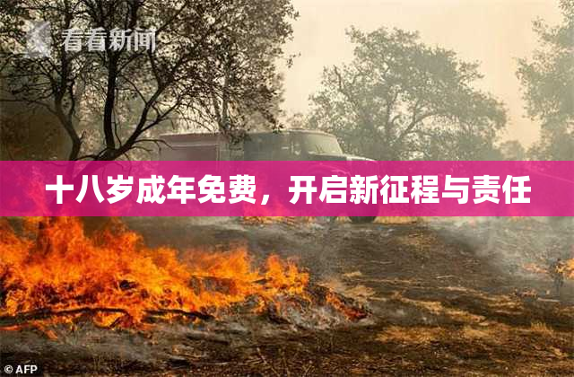 十八岁成年免费，开启新征程与责任