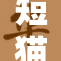 短猫快跑，玩乐不停！
