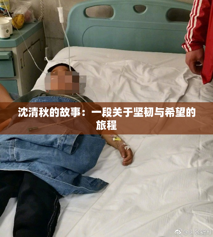 沈清秋的故事：一段关于坚韧与希望的旅程