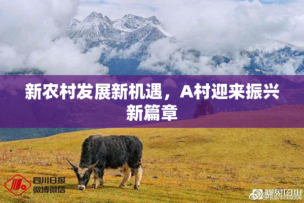 新农村发展新机遇，A村迎来振兴新篇章