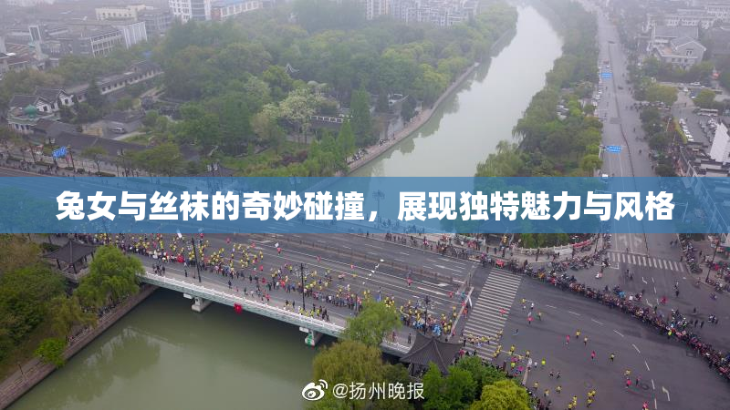 兔女与丝袜的奇妙碰撞，展现独特魅力与风格