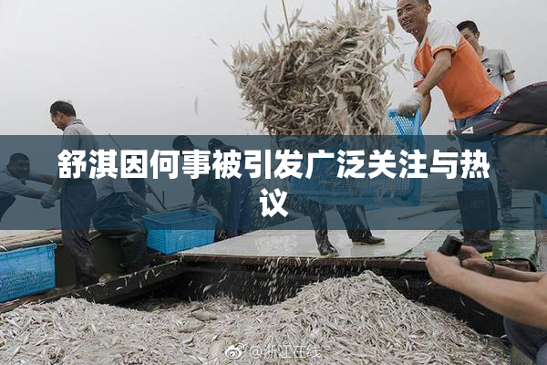舒淇因何事被引发广泛关注与热议