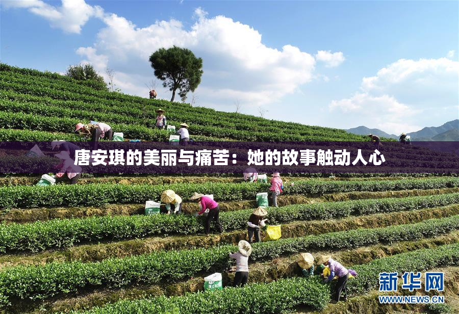 唐安琪的美丽与痛苦：她的故事触动人心