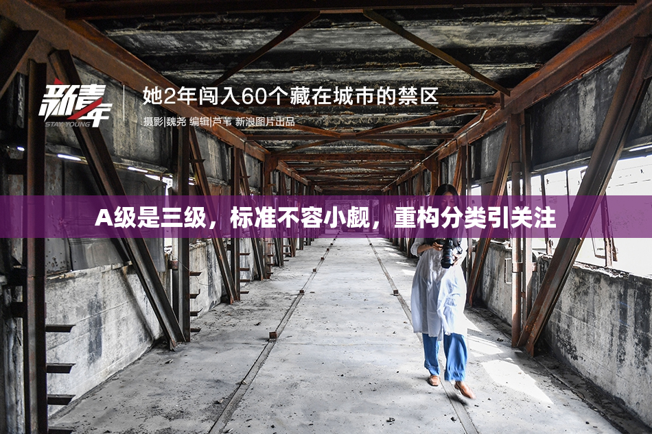 A级是三级，标准不容小觑，重构分类引关注