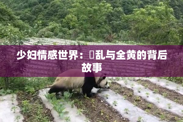 少妇情感世界：婬乱与全黄的背后故事